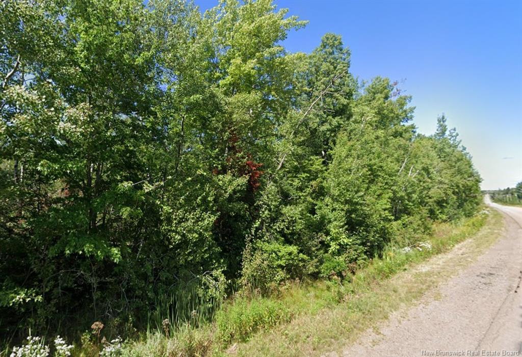 Lot 1 Route 530, Grande-Digue, NB