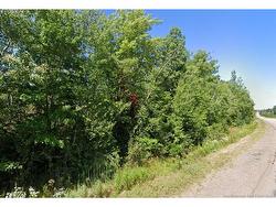 Lot 1 Route 530 Grande-Digue, NB E4R 5P8