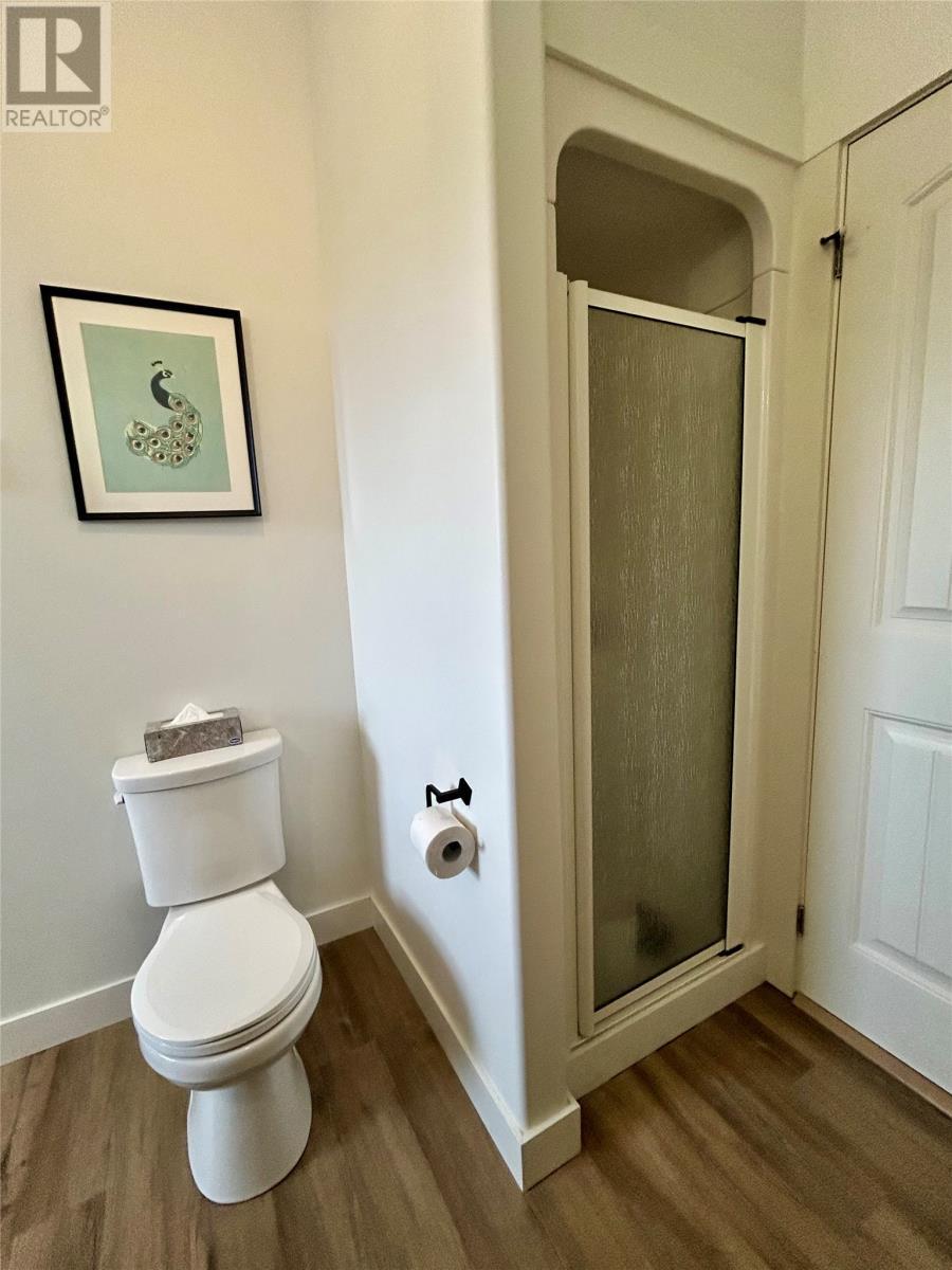 23 Hanlon Drive, Massey Drive, NL - Indoor Photo Showing Bathroom