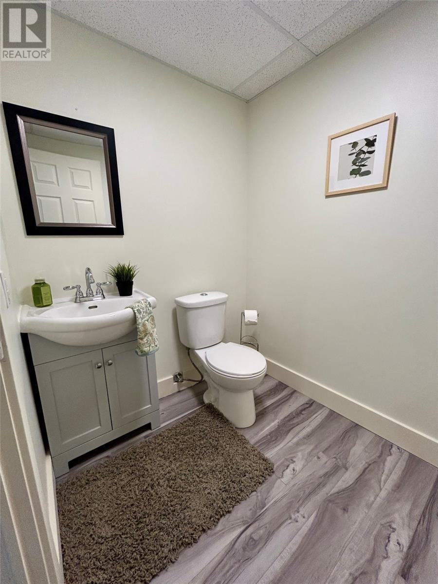 23 Hanlon Drive, Massey Drive, NL - Indoor Photo Showing Bathroom