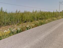 12 Acres Lake Road Tatamagouche, NS B6L 1G5