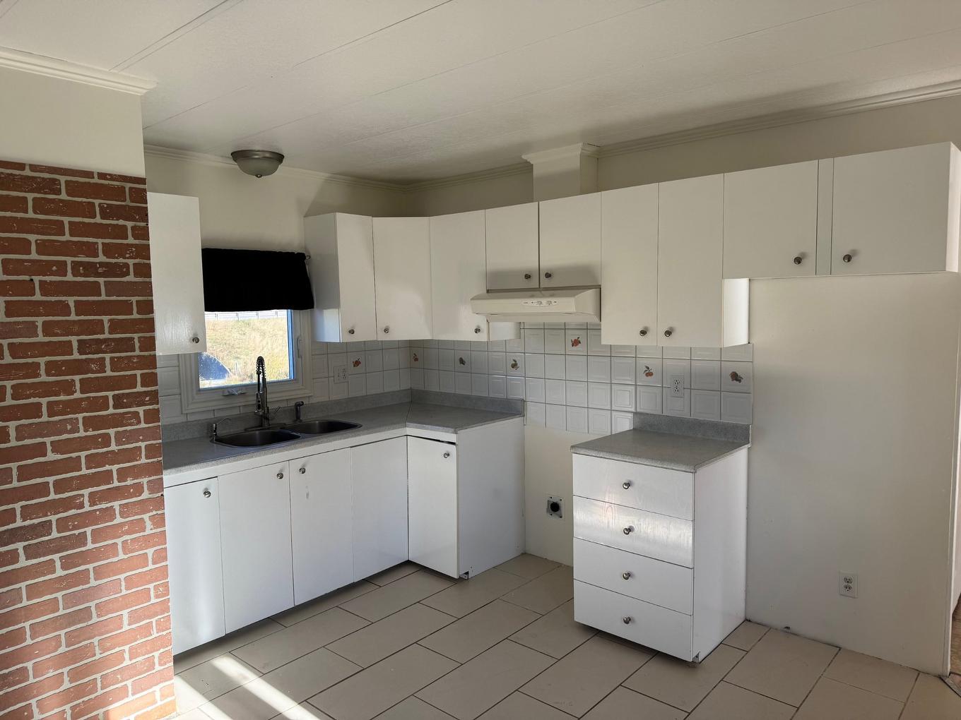 Kitchen - 14 Place Drapeau, Saint-Philippe-De-Néri, QC - Indoor Photo Showing Kitchen With Double Sink