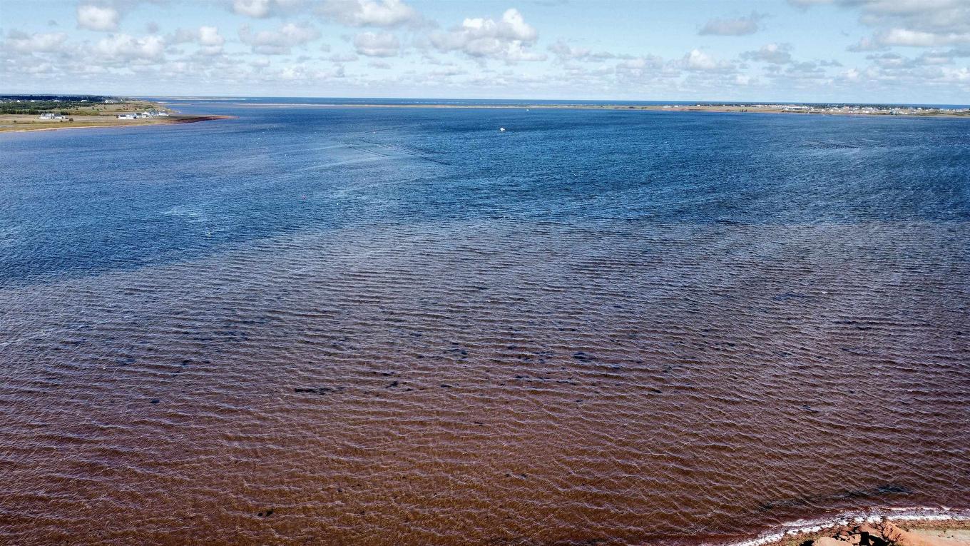 Route 20, Darnley, PE