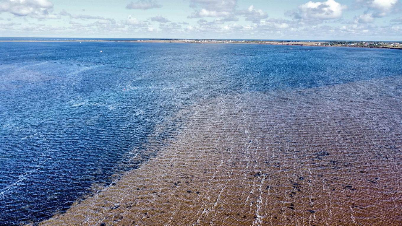 Route 20, Darnley, PE