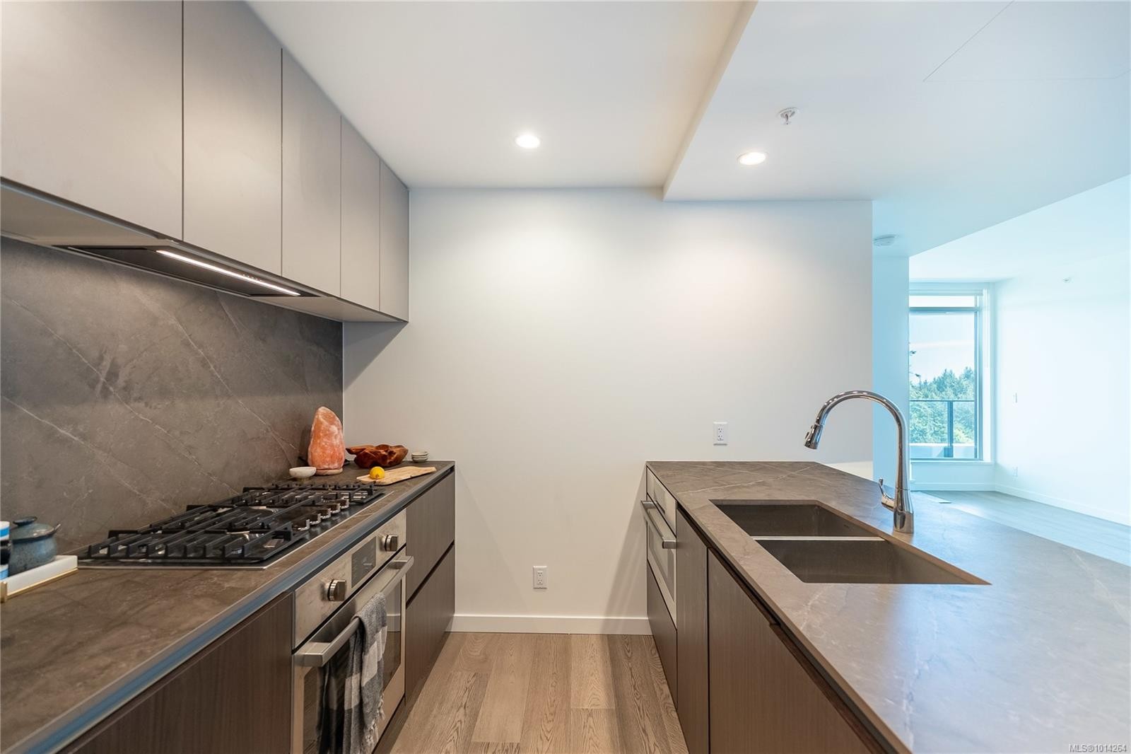 1006-2000 Hannington Rd, Langford, BC - Indoor Photo Showing Kitchen With Double Sink