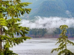 247-6596 Baird Rd Port Renfrew, BC V0S 1K0