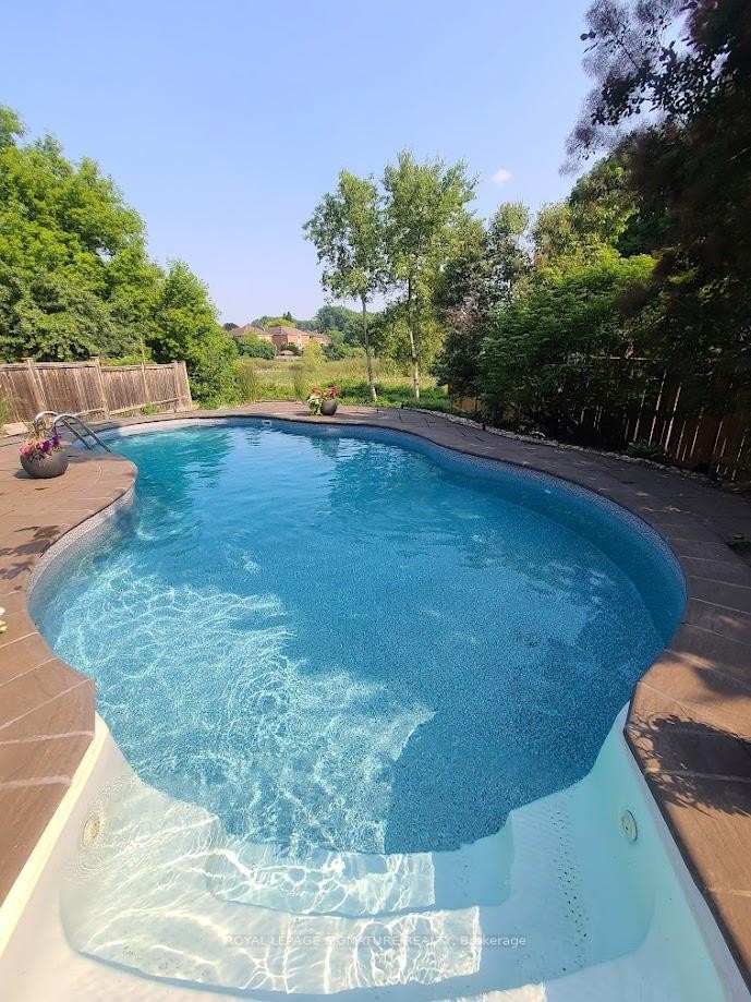 Bsmt-51 Kenpark Avenue, Brampton, ON - Outdoor With In Ground Pool With Backyard