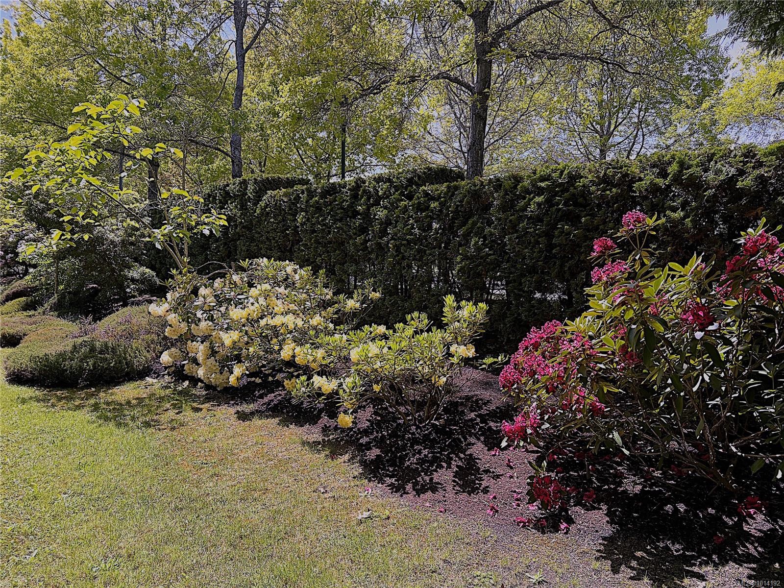 107-750 Memorial Ave, Qualicum Beach, BC - Outdoor