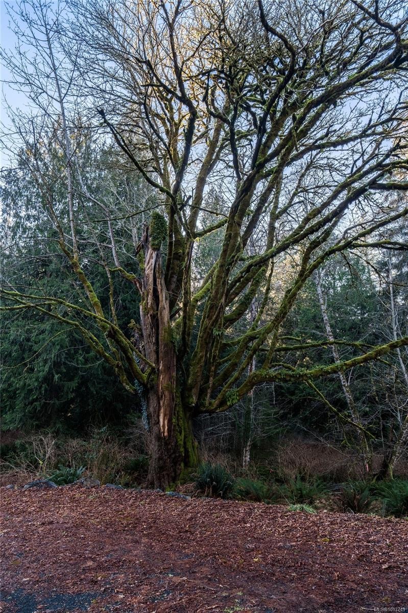 A-6550 East Sooke Rd, Sooke, BC - Outdoor With View