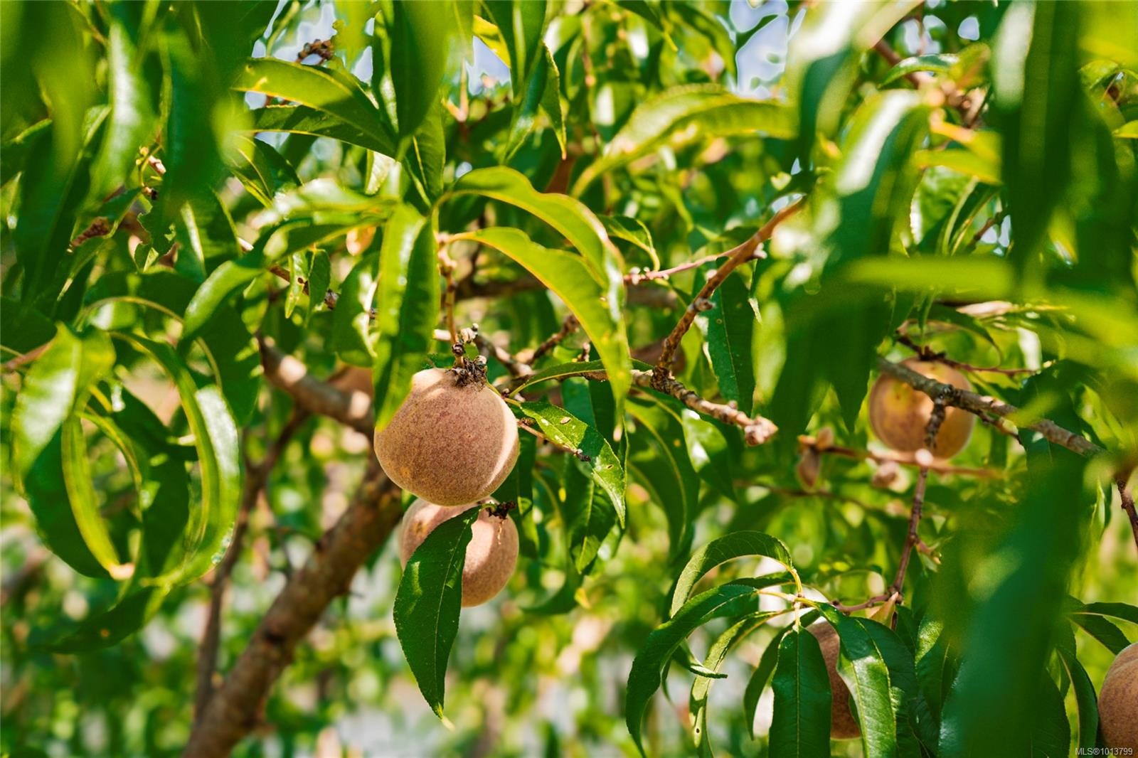 2551 Stampede Trail, Nanaimo, BC
