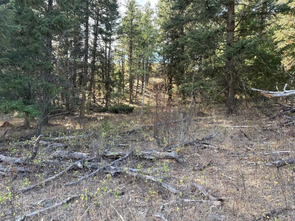 Parcel A Wilson Road Road, Kamloops, BC