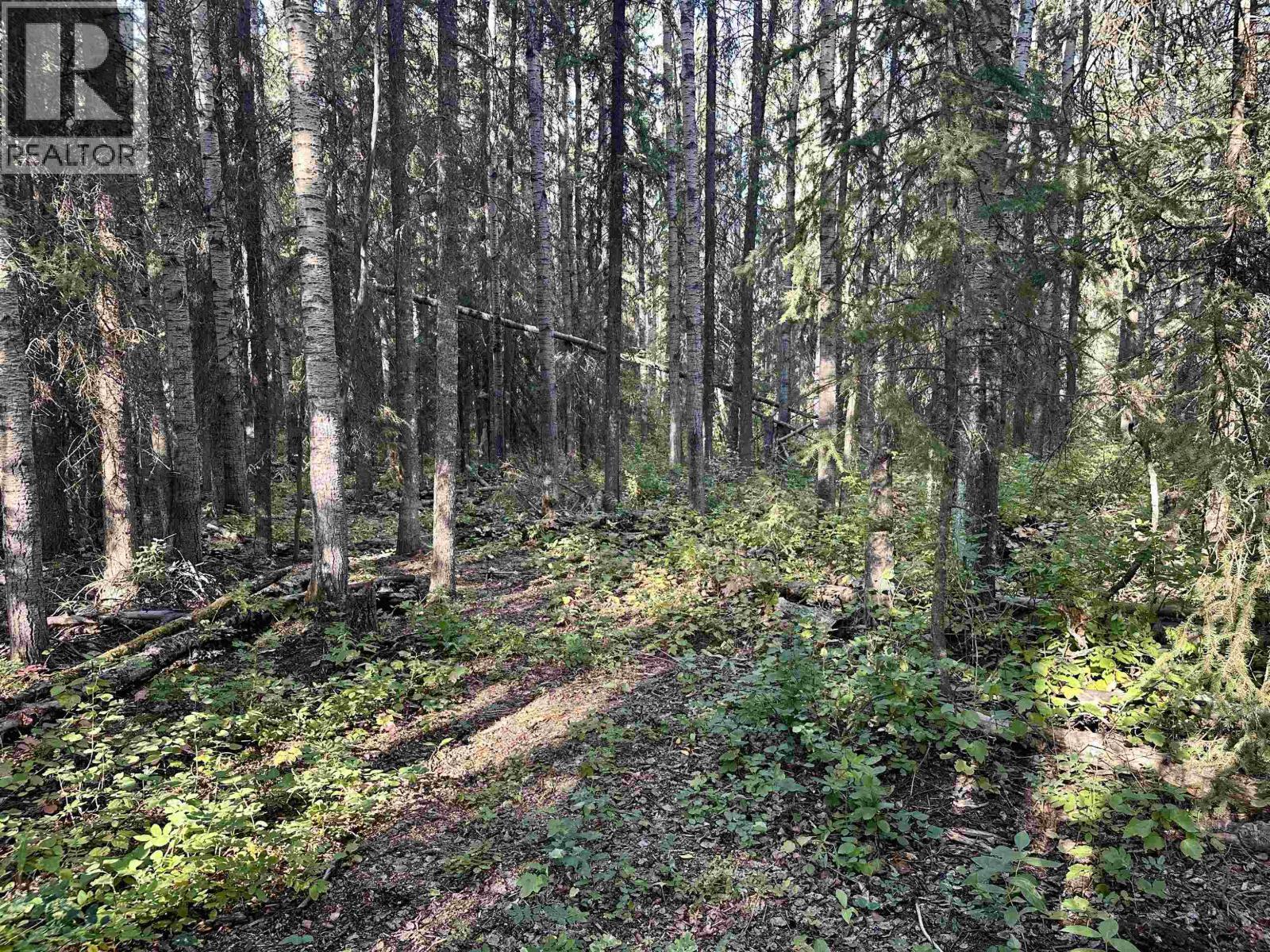 693 Oak Road, Vanderhoof, BC - Outdoor