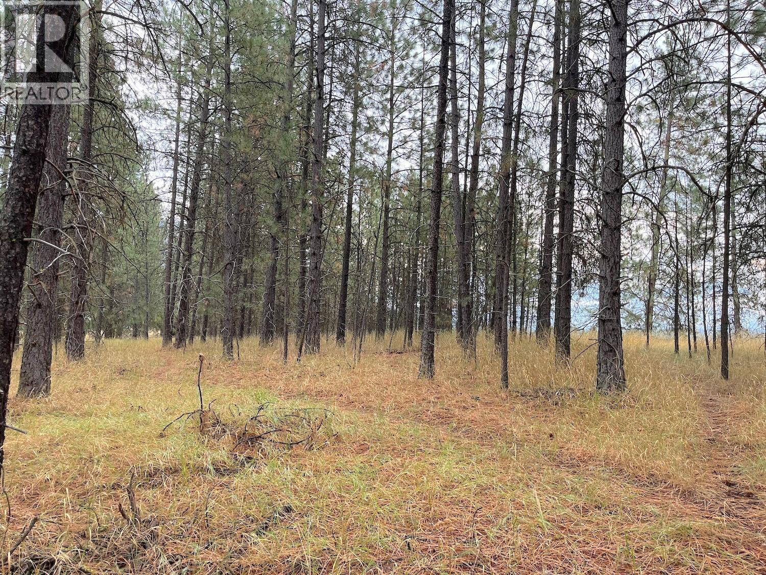 Highway 3 Lot# 32, Grand Forks, BC
