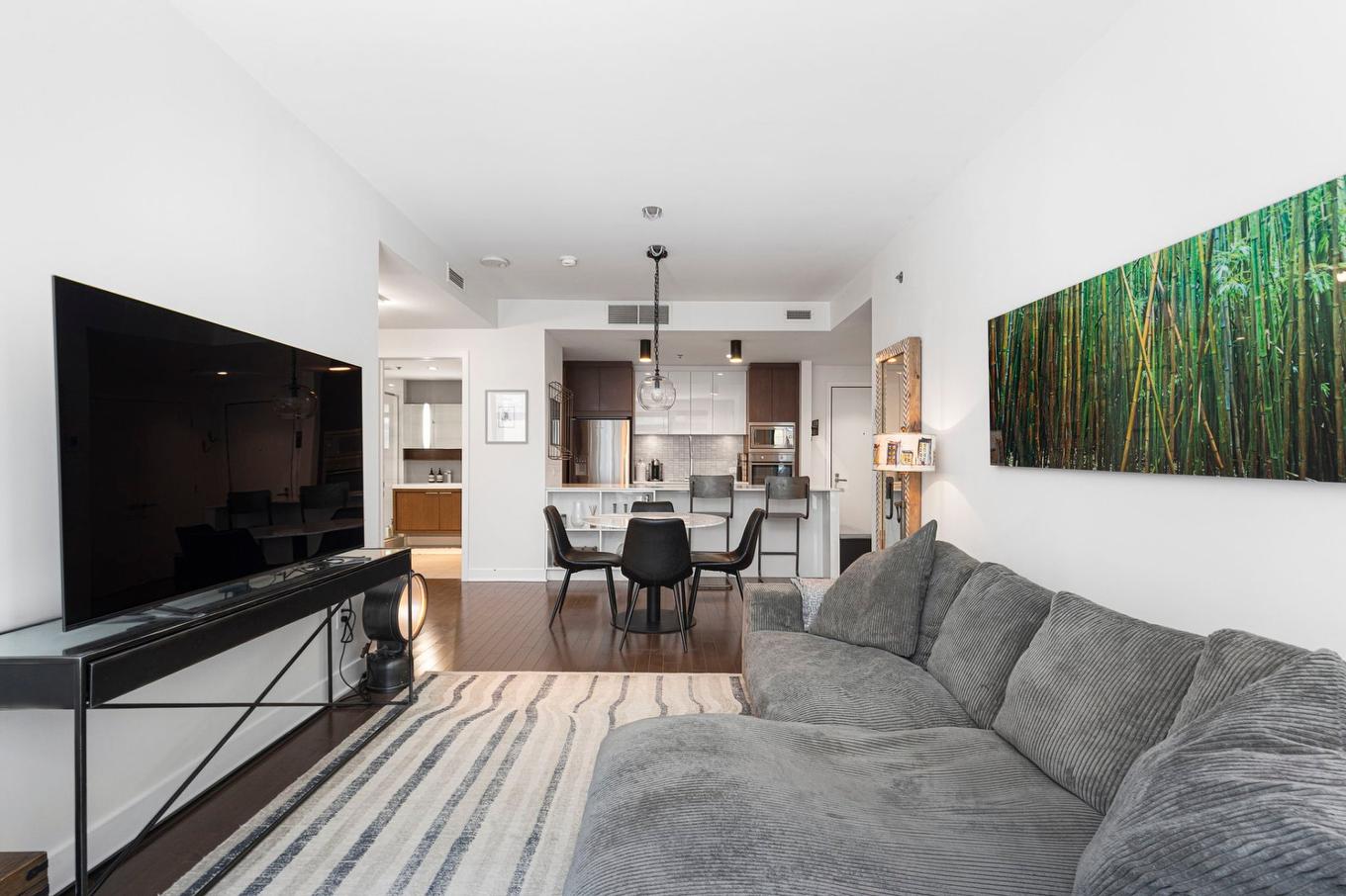 Salon - 308-1548 Rue Des Bassins, Montréal (Le Sud-Ouest), QC - Indoor Photo Showing Living Room