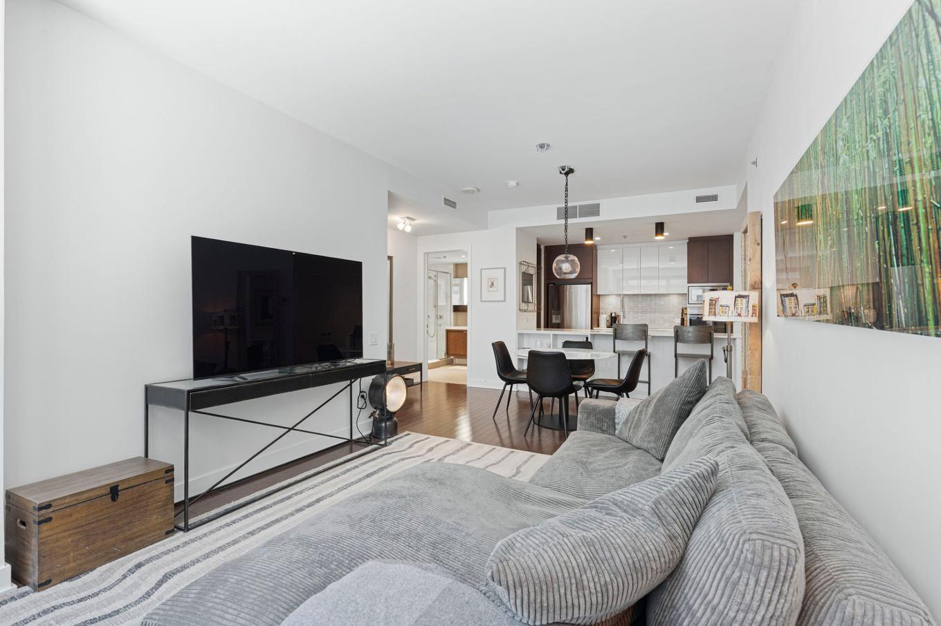 Salon - 308-1548 Rue Des Bassins, Montréal (Le Sud-Ouest), QC - Indoor Photo Showing Living Room