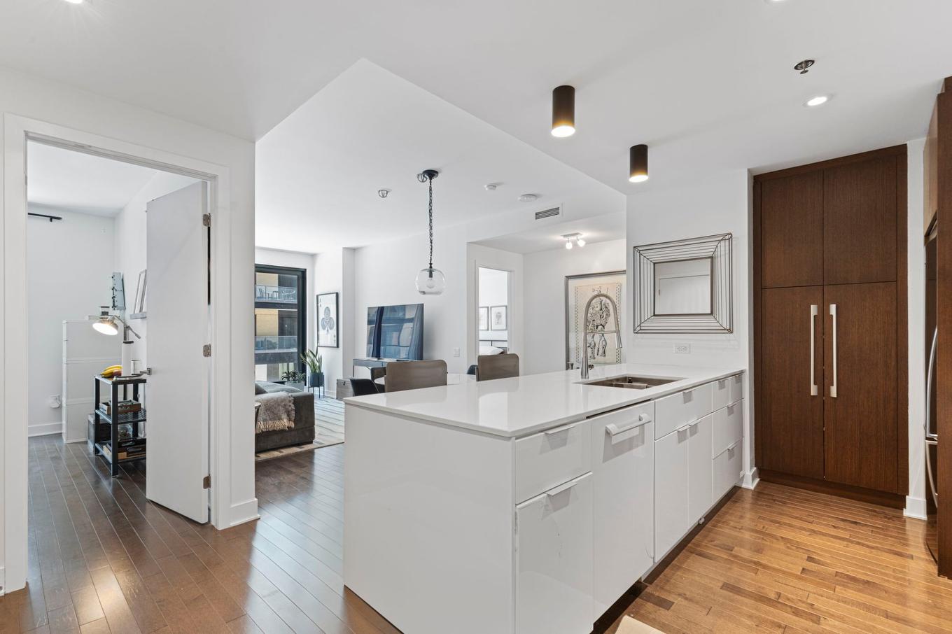 Vue d'ensemble - 308-1548 Rue Des Bassins, Montréal (Le Sud-Ouest), QC - Indoor Photo Showing Kitchen With Upgraded Kitchen