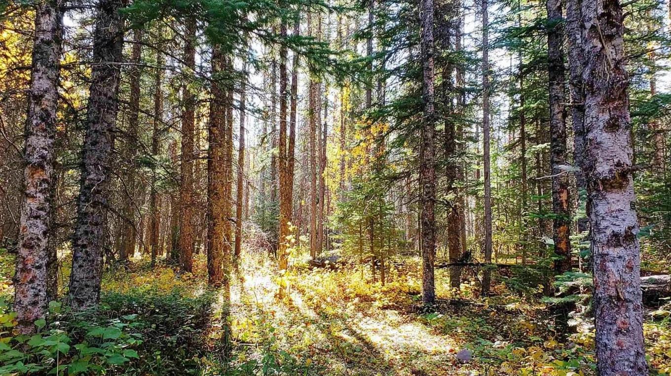 Lot 40 Beaver Lane, Grantville, NS