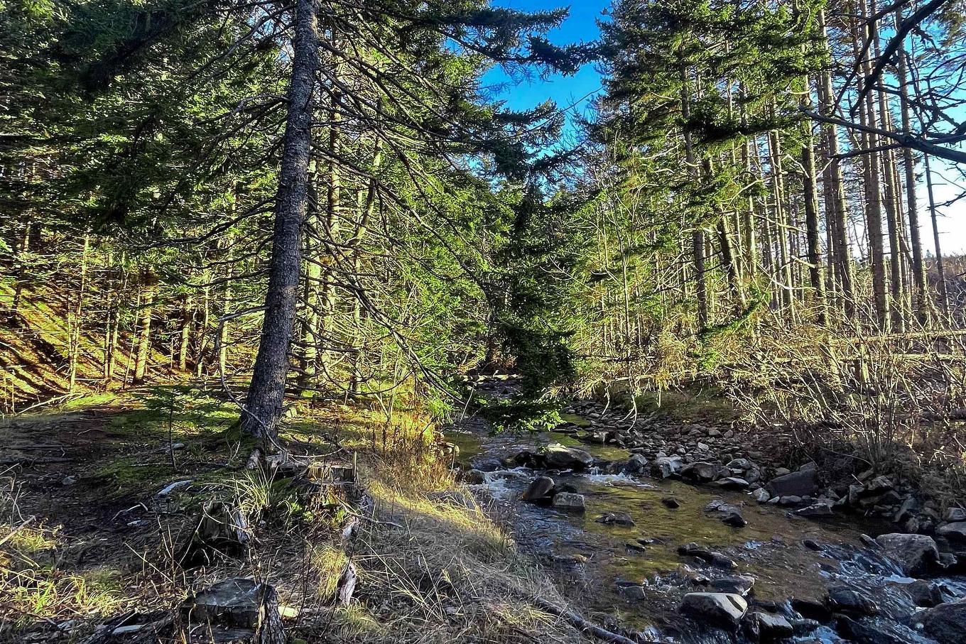 Lot Shore Road E, Mount Hanley, NS