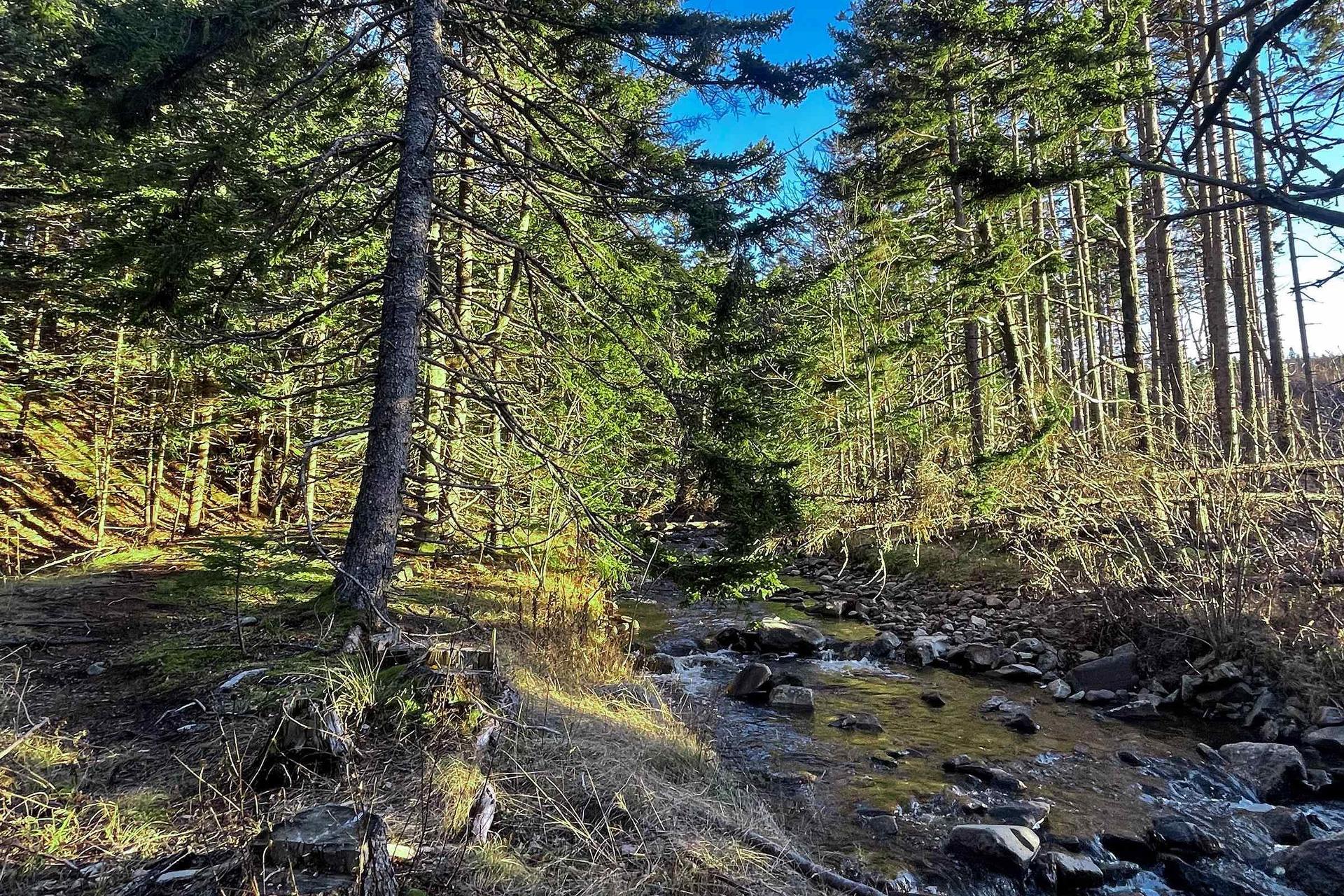 Lot Shore Road E, Mount Hanley, NS