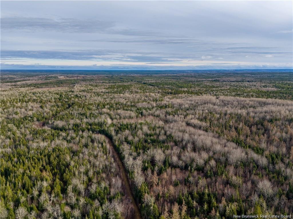 Lot Melanson Rd, Dieppe, NB