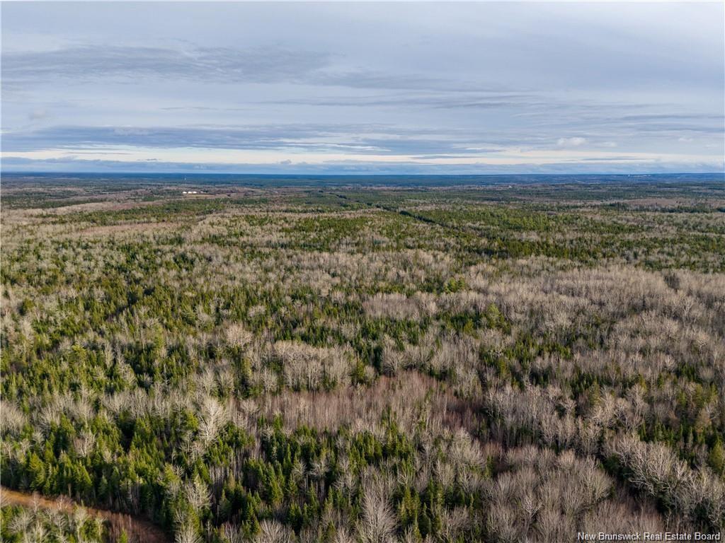 Lot Melanson Rd, Dieppe, NB