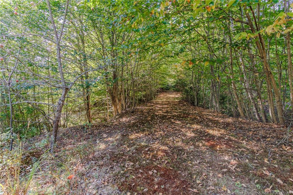 136 Worden Rd, Kingston, NB