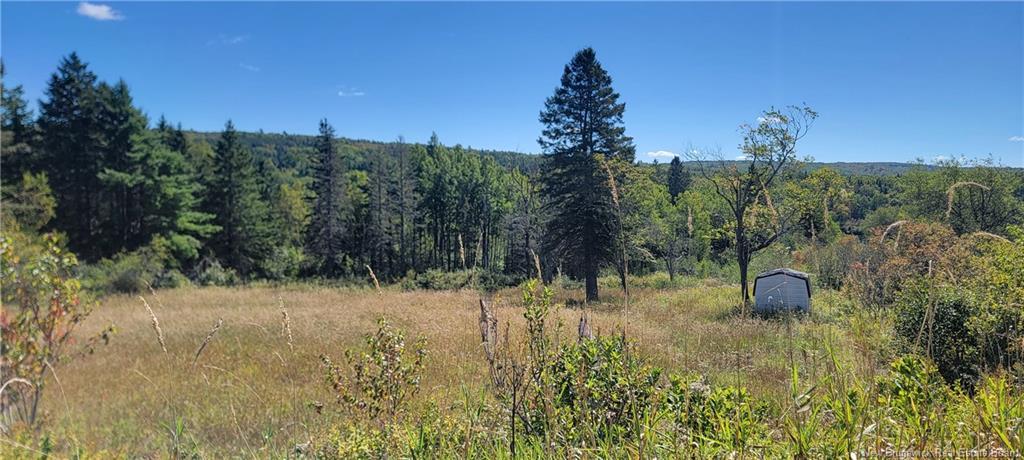 Lot 01-1 Route 121, Riverbank, NB