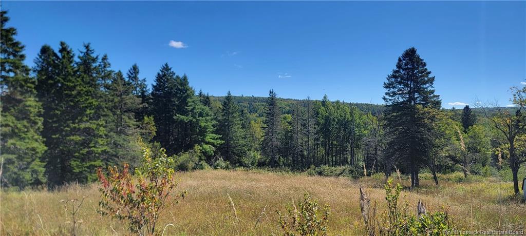 Lot 01-1 Route 121, Riverbank, NB