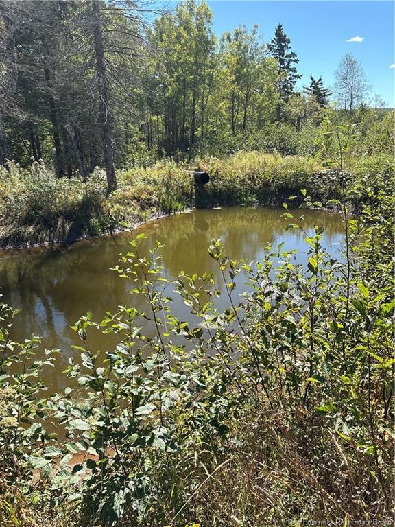 Lot 01-1 Route 121, Riverbank, NB