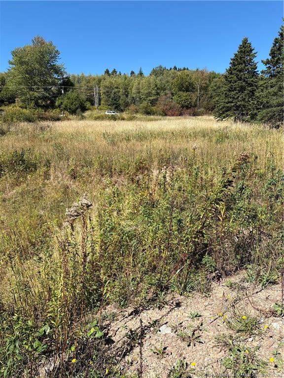 Lot 01-1 Route 121, Riverbank, NB