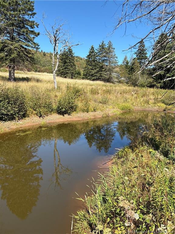 Lot 01-1 Route 121, Riverbank, NB