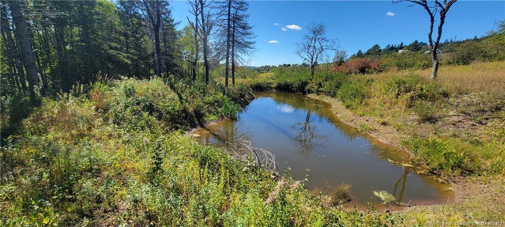 Lot 01-1 Route 121, Riverbank, NB