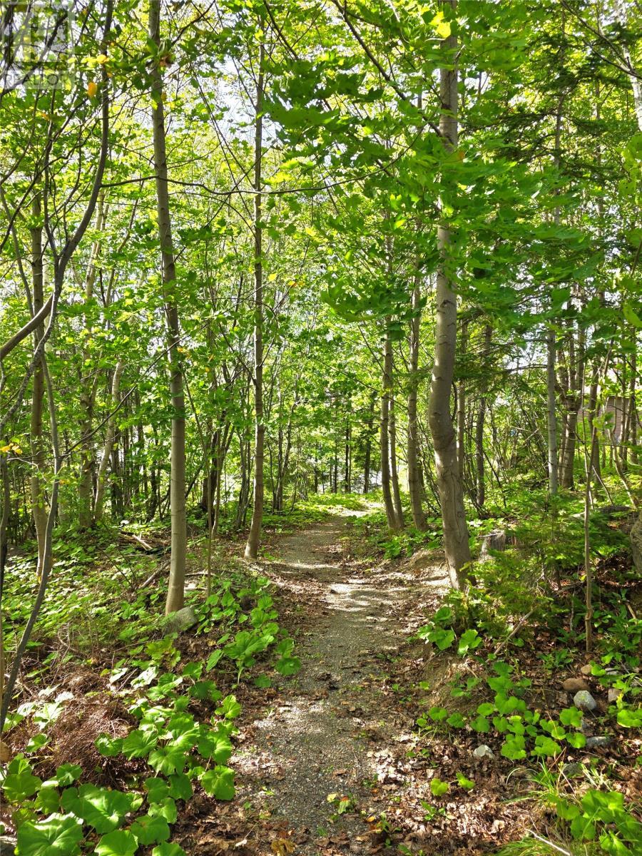 19 Raymond Heights, Corner Brook, NL - Outdoor