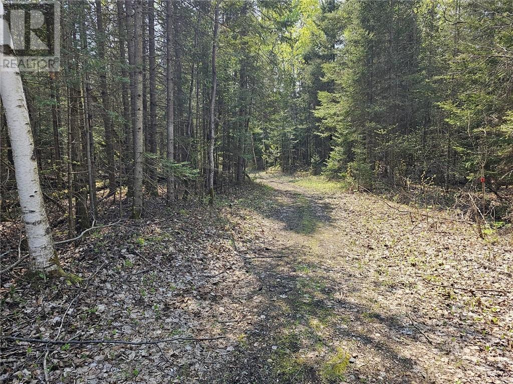 Lot 49 Sandy Point Road, Assiginack, Manitoulin Island, ON