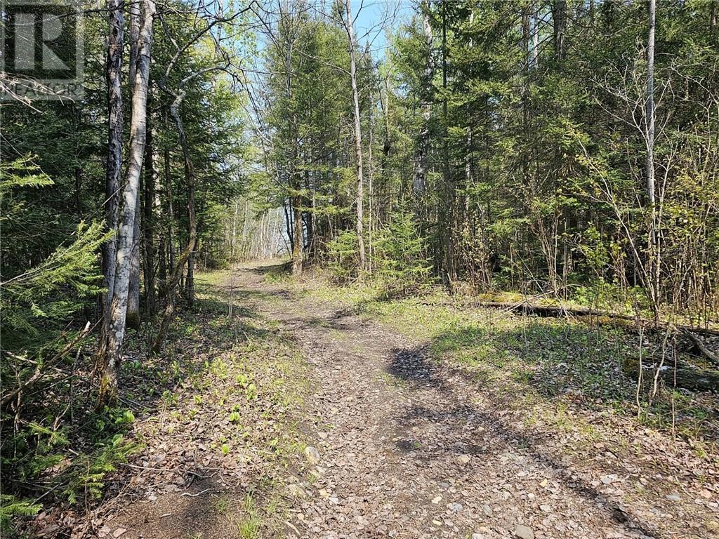 Lot 49 Sandy Point Road, Assiginack, Manitoulin Island, ON