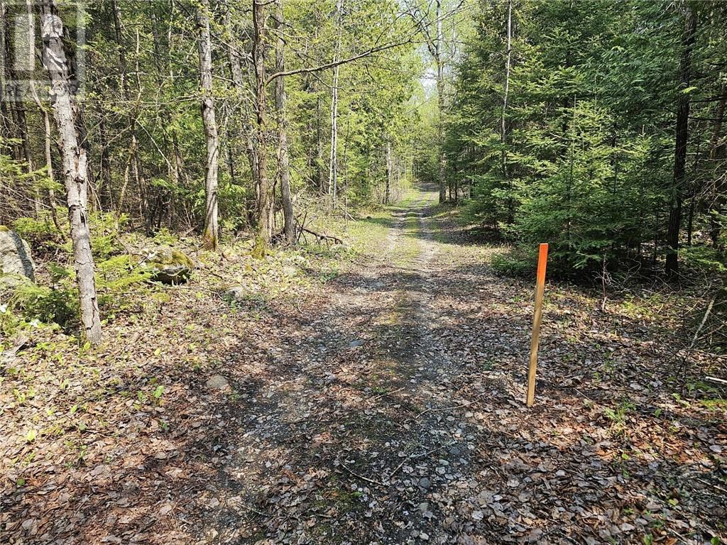 Lot 49 Sandy Point Road, Assiginack, Manitoulin Island, ON