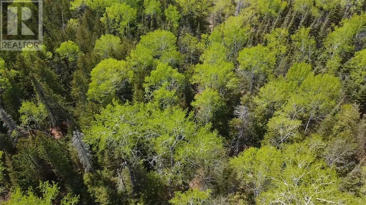 Lot 49 Sandy Point Road, Assiginack, Manitoulin Island, ON