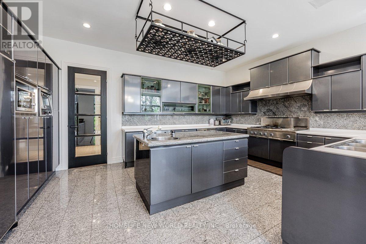 5 Abrams Place, Toronto, ON - Indoor Photo Showing Kitchen With Double Sink With Upgraded Kitchen