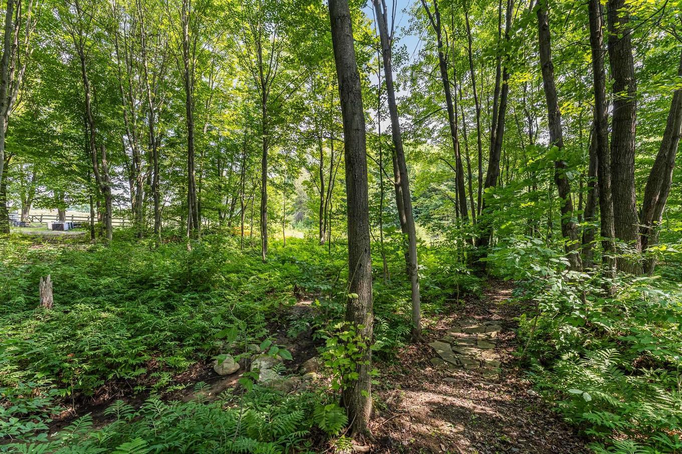 Boisé - 35 Rue Bergeron E., Granby, QC - Outdoor