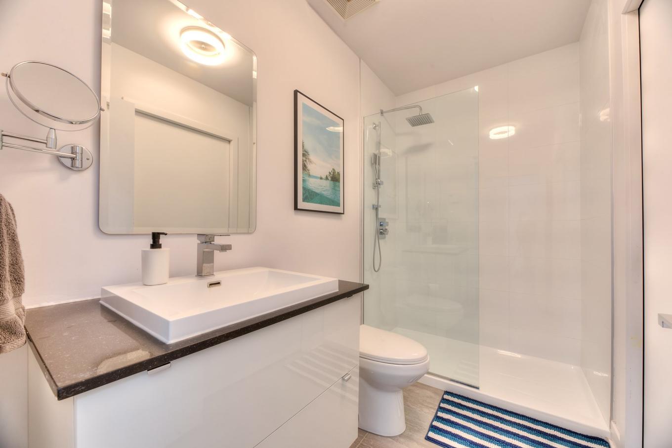 Salle de bains - 409-5700 Rue Garnier, Montréal (Rosemont/La Petite-Patrie), QC - Indoor Photo Showing Bathroom