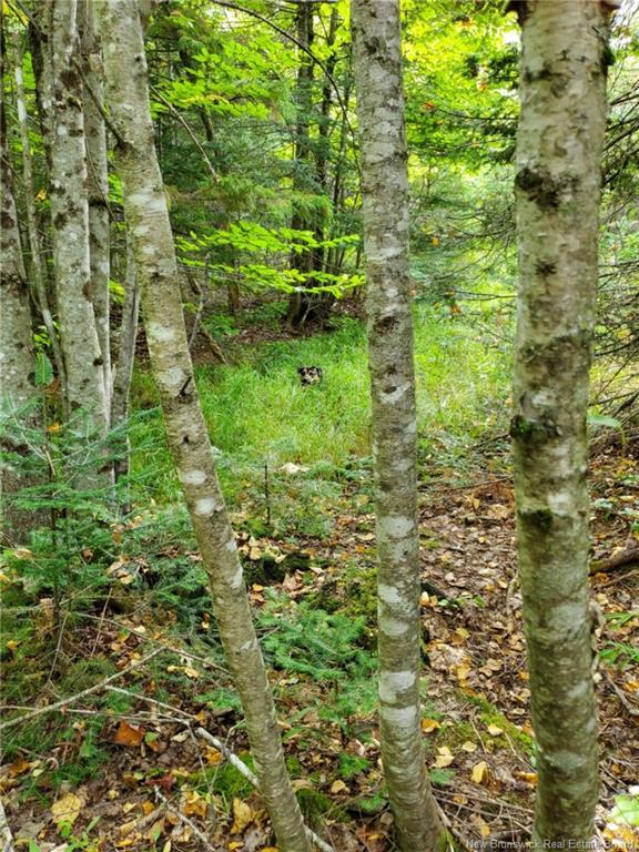Lot 2 Thompson Rd, Kierstead Mountain, NB