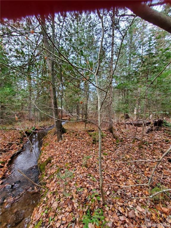Lot 2 Thompson Rd, Kierstead Mountain, NB