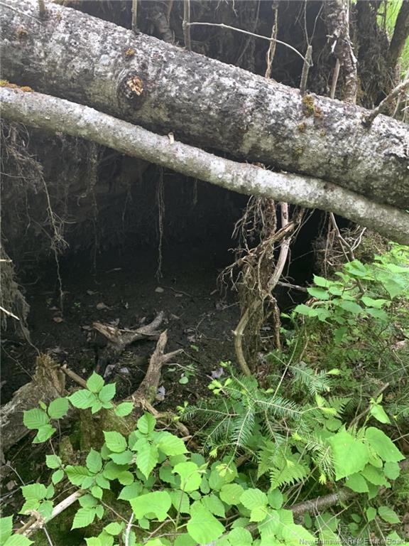 Lot 2 Thompson Rd, Kierstead Mountain, NB