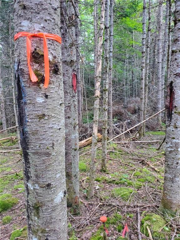 Lot 2 Thompson Rd, Kierstead Mountain, NB