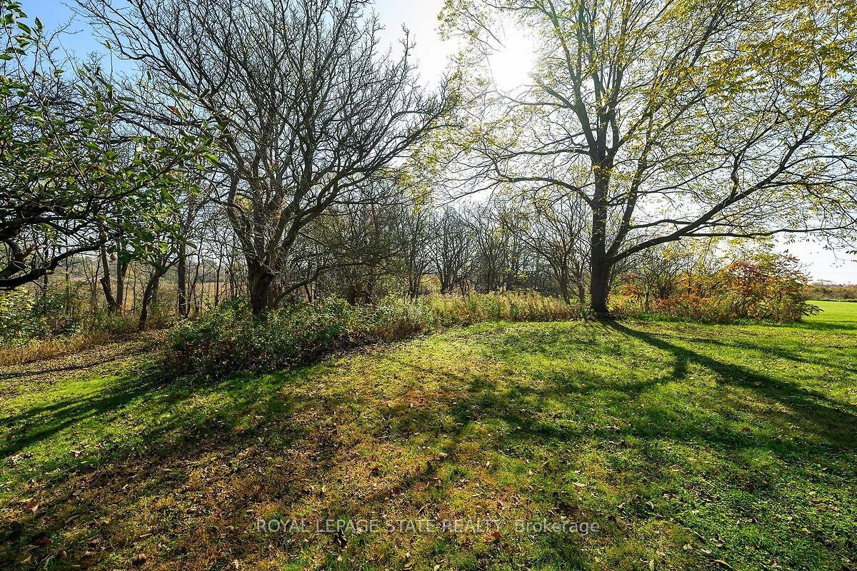 53 Glover Road, Hamilton, ON - Outdoor