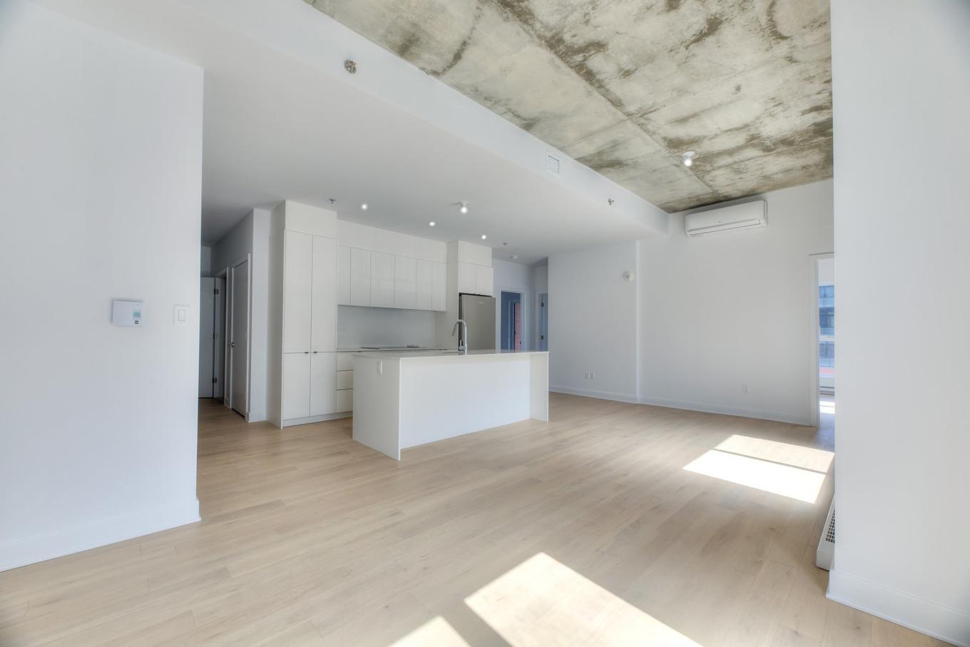 Salon - 310-1971 Rue Du Havre, Montréal (Ville-Marie), QC - Indoor Photo Showing Kitchen