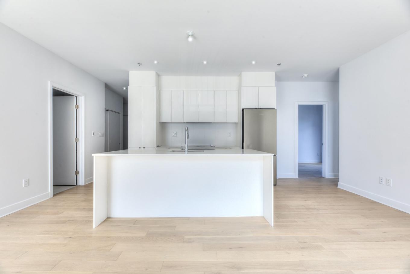 Cuisine - 310-1971 Rue Du Havre, Montréal (Ville-Marie), QC - Indoor Photo Showing Kitchen