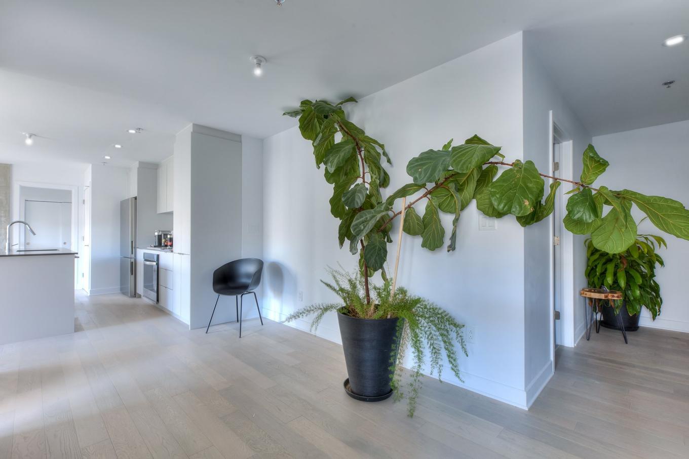 Salon - 207-1971 Rue Du Havre, Montréal (Ville-Marie), QC - Indoor