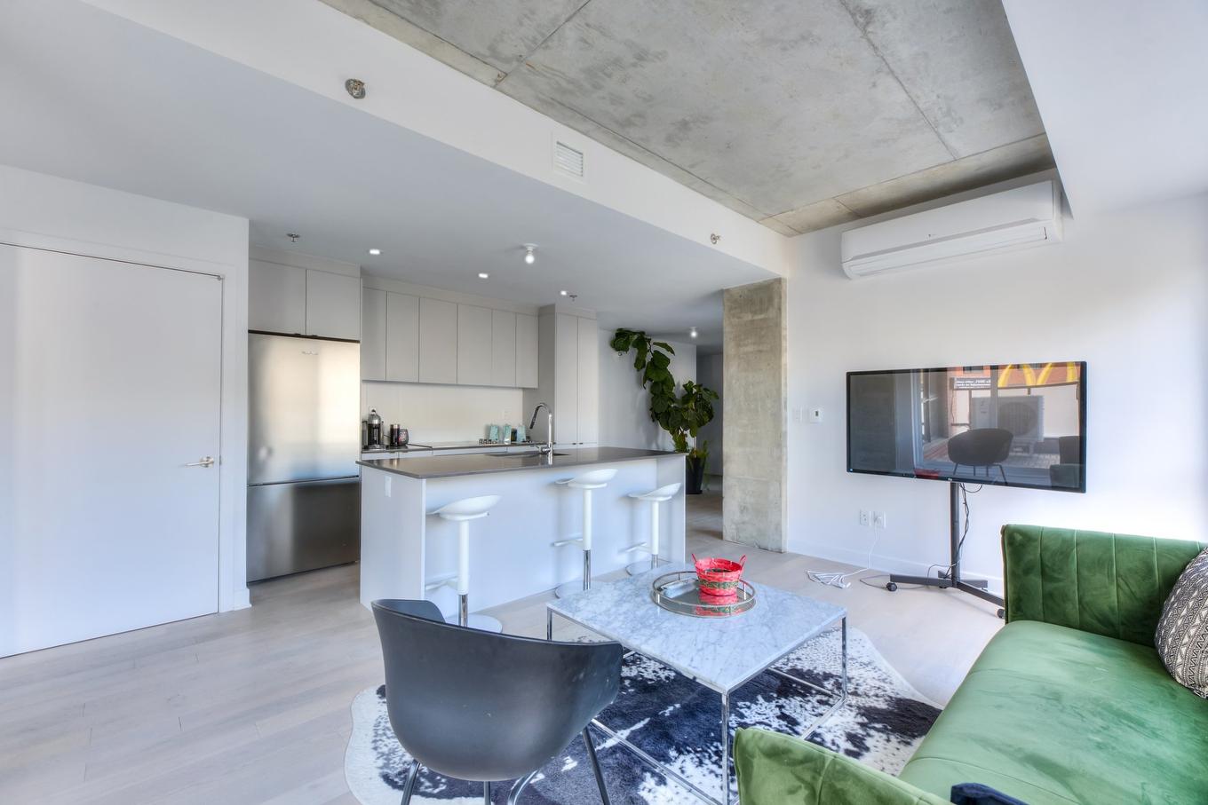 Salon - 207-1971 Rue Du Havre, Montréal (Ville-Marie), QC - Indoor Photo Showing Living Room