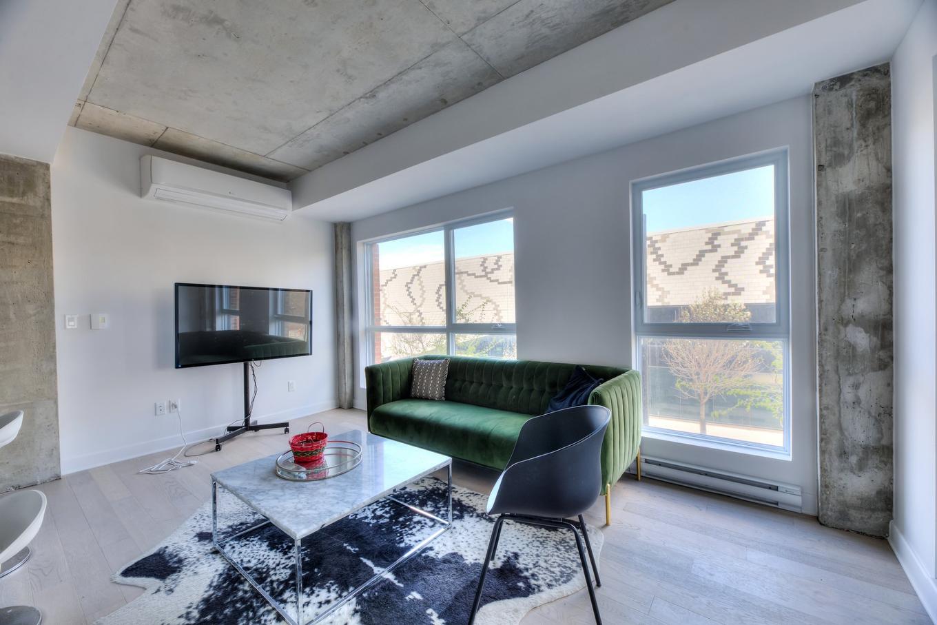 Salon - 207-1971 Rue Du Havre, Montréal (Ville-Marie), QC - Indoor Photo Showing Living Room